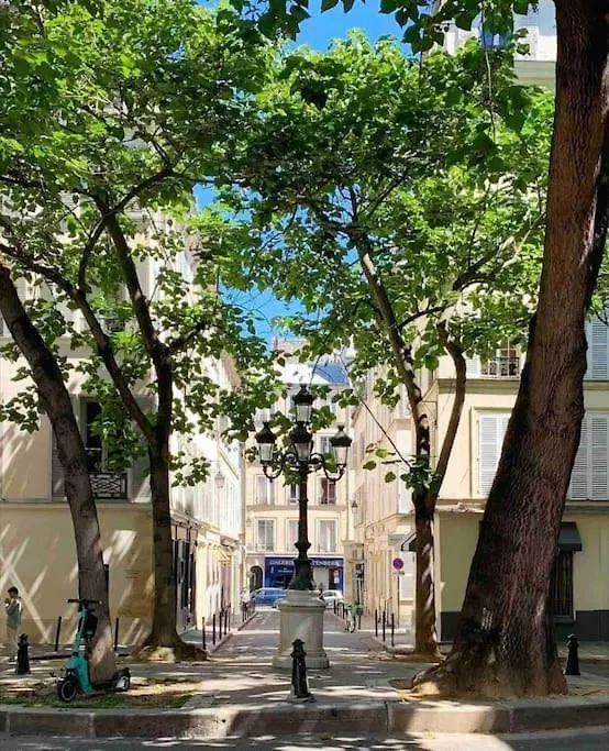 Lovely - 2 Bedrooms Flat In Saint-Germain-Des-Pres Paris Apartment